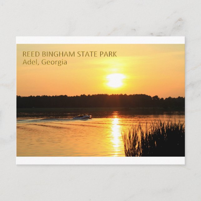 REED BINGHAM STATE PARK - Adel, Georgia Postcard (Front)
