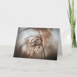 Reed Nature Photo Card