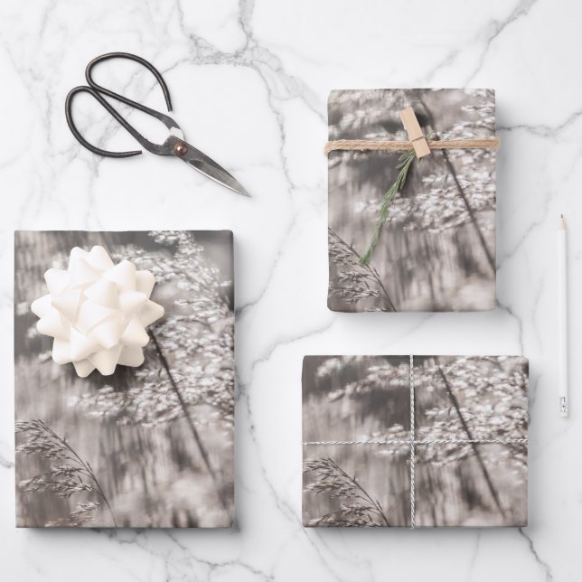 Reed Nature Photo Wrapping Paper Sheet (Front)
