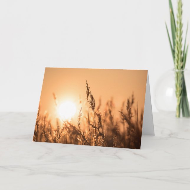 Reed Sunset Nature Photo Card (Front)