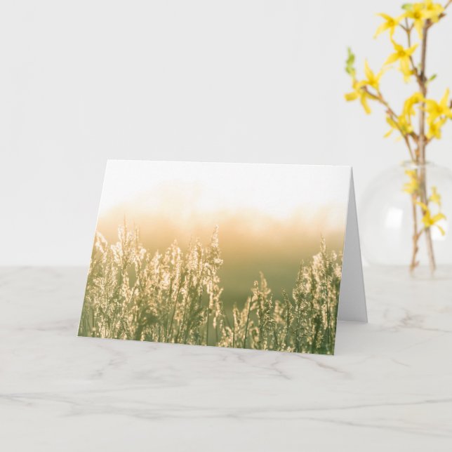 Reed Sunset Nature Photo Card (Yellow Flower)