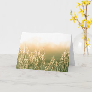 Reed Sunset Nature Photo Card