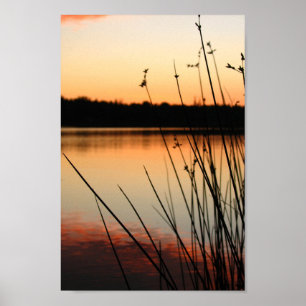 Reeds and Lakeside Reflection at Sunset Poster