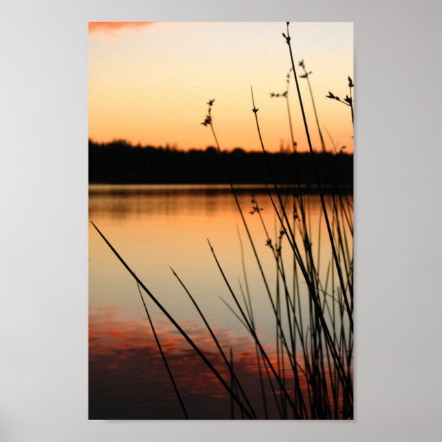 Reeds and Lakeside Reflection at Sunset Poster (Front)