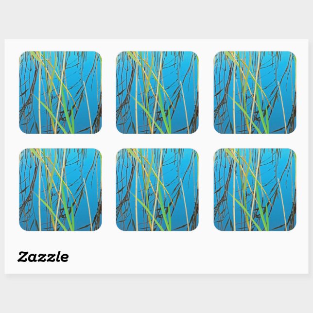 Reeds in a lake square sticker (Sheet)