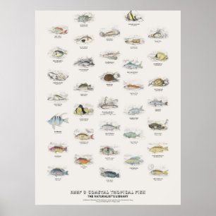 Reef & Coastal Tropical Fish-Naturalist's Library Poster