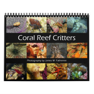 Reef Critters Wall Calendar by J.W. Fatherree.