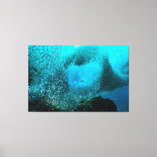 Reef Fish Cloud Canvas Print