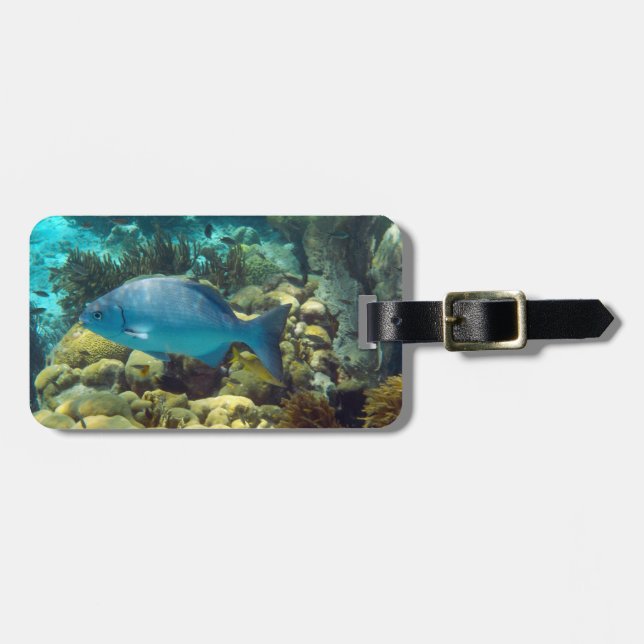 Reef Fish Custom Luggage Tag (Front Horizontal)