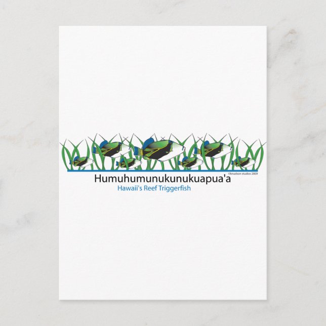 Reef-Fish- Postcard (Front)