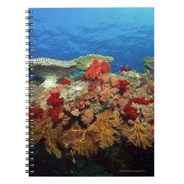 Reef of Corals Notebook (Front)