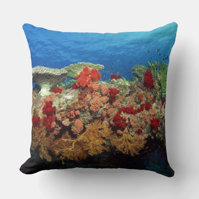 Reef scenic of hard corals , soft corals cushion (Front)