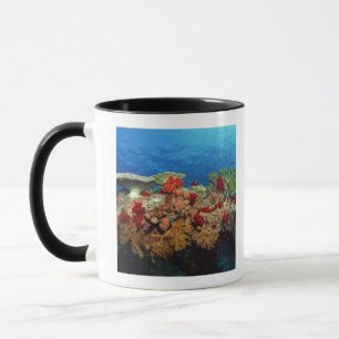 Reef scenic of hard corals , soft corals mug