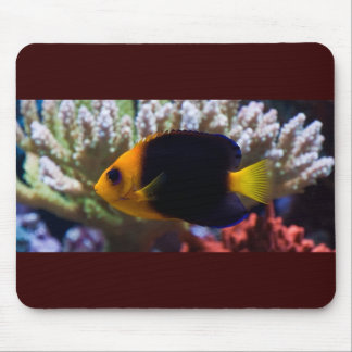 Reef Serenity Mousepad