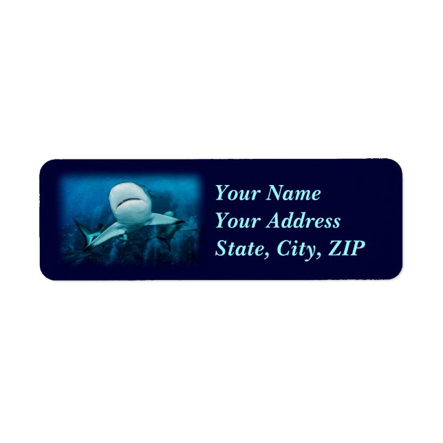 Reef Shark Address Label (Front)