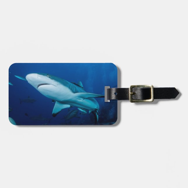 Reef Shark Luggage Tag (Front Horizontal)