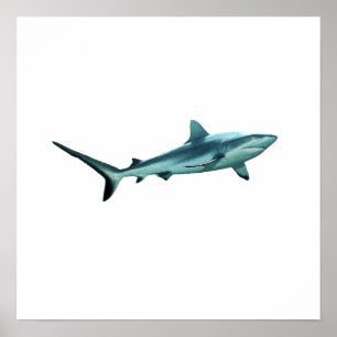 Reefshark - Abstract Design - Cut out of a photo Poster