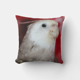 Reeples Cushion