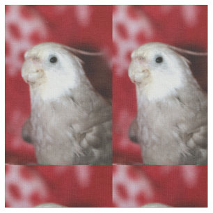 Reeples fabric