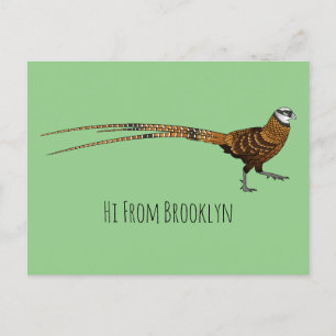 Reeves's pheasant bird cartoon illustration postcard