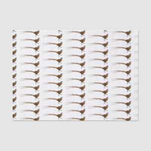 Reeves's pheasant bird cartoon illustration tissue paper