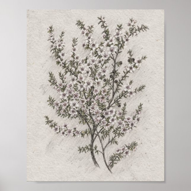 Refined Botanical Interior Art Poster (Front)