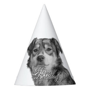 Refined Monochrome Mixed Breed Canine  Birthday Party Hat