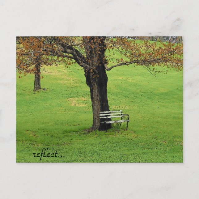 Reflect Postcard (Front)