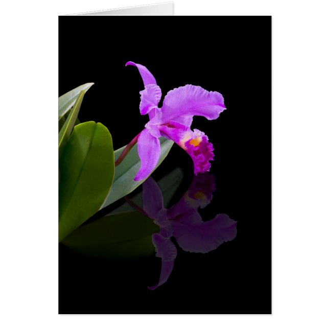 Reflected Beauty Orchid  Card (Front)