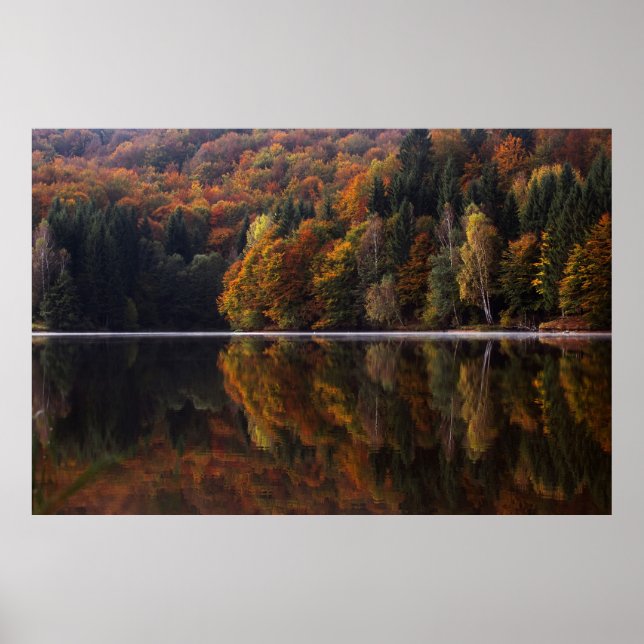 Reflected Colours Poster (Front)