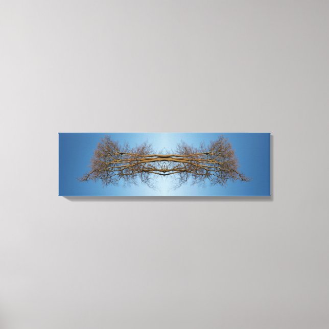 Reflected trees canvas print (Front)