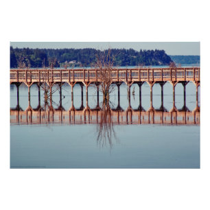 Reflecting Together Photo Print