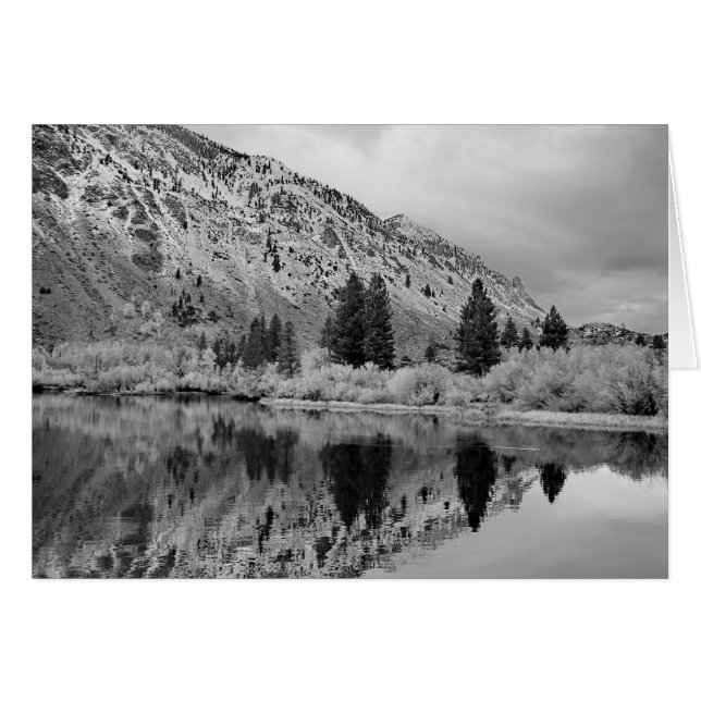 Reflection (Front Horizontal)