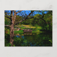 Reflection Across The Lake Postcard