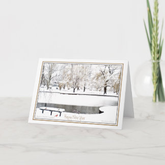 Reflection: In New Year: Boston Public Garden Holiday Card