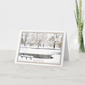 Reflection: In New Year: Boston Public Garden Holiday Card
