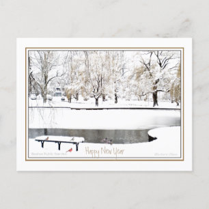 Reflection: In New Year: Boston Public Garden Holiday Postcard