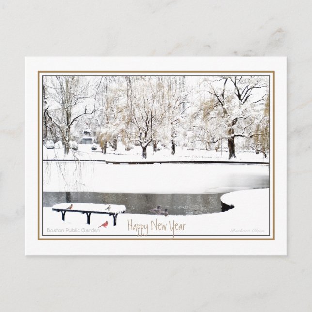 Reflection: In New Year: Boston Public Garden Holiday Postcard (Front)