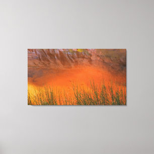 Reflection in Pool Canyon Glen Canyon, UT Canvas Print
