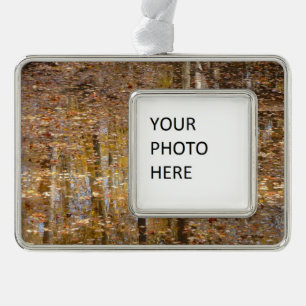 Reflection in Still Creek at Greenbelt Park Silver Plated Framed Ornament