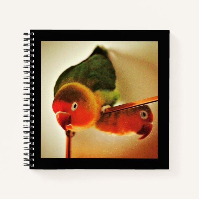 Reflection  notebook (Front)