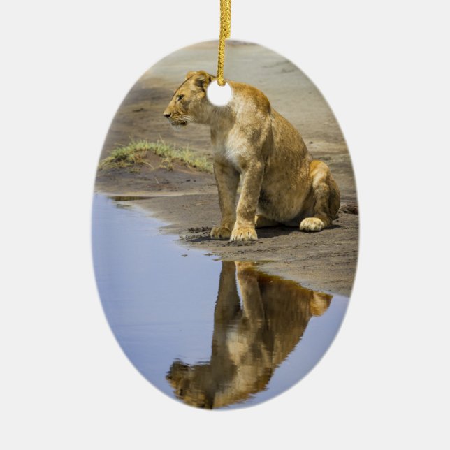 Reflection of a Lioness Ornament (Front)