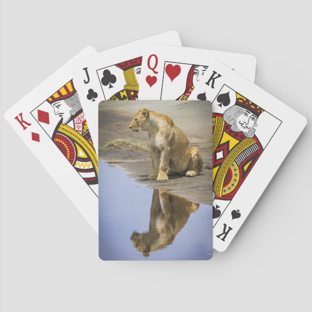 Reflection of a Lioness Playing Cards (Back)