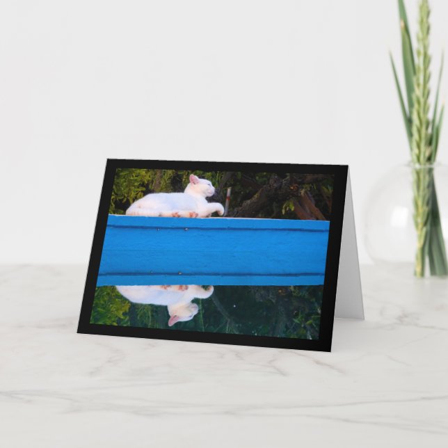 Reflection of a White Cat Card (Front)