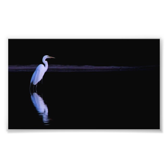 reflection of an Egret Photo Print (Front)