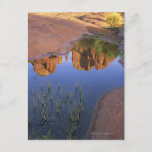 Reflection of Cathedral Rock , Sedona , Arizona Postcard