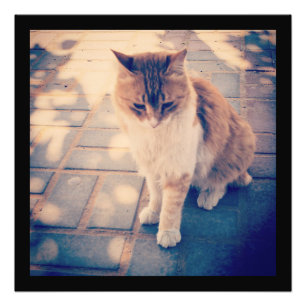 Reflection Photo Print