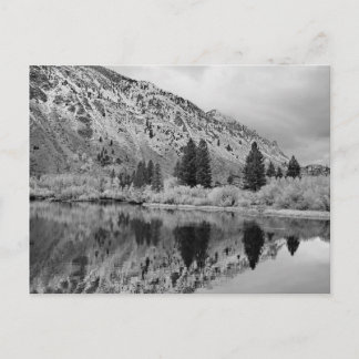 Reflection Postcard