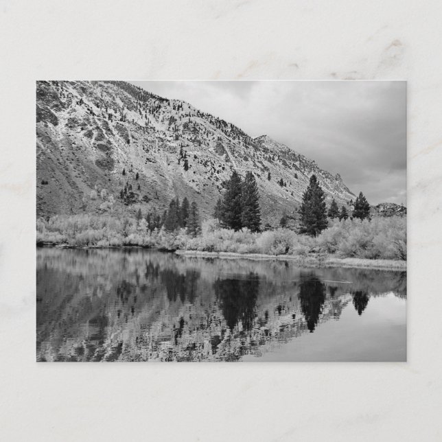 Reflection Postcard (Front)