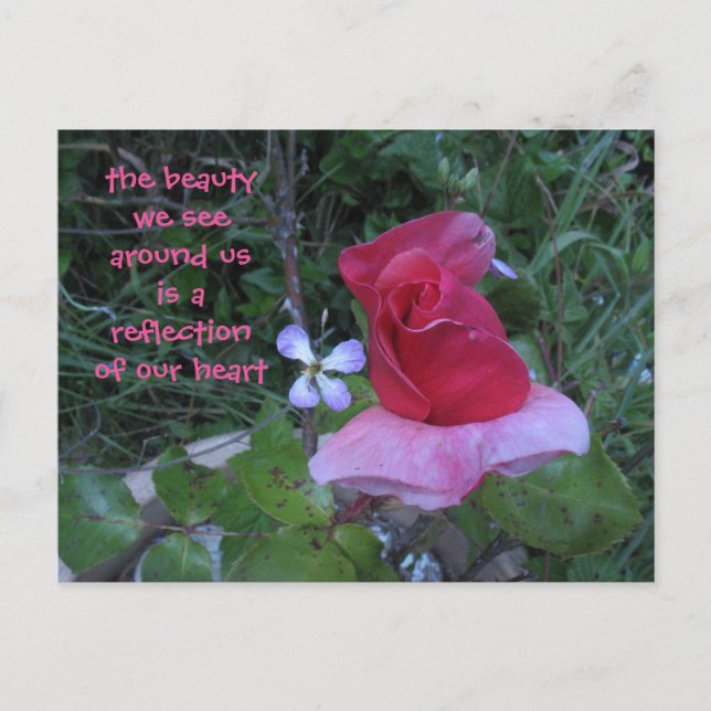 reflection postcard (Front)